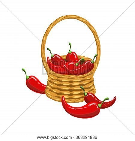 Red Hot Chilly Pepper In Basket Wicker With A Vine. Art Design Elements Object Isolated Stock Vector