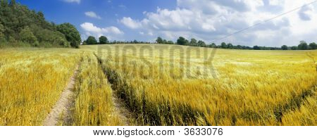 Terras agrícolas