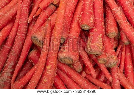 Carrot, Daucus Carota , Is A Root Vegetable, Usually Orange In Colour, A Domesticated Form Of The Wi
