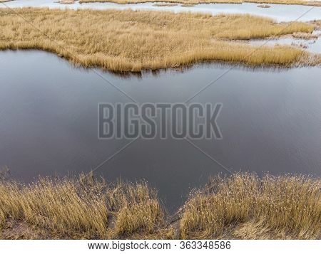Photo Of Water Sea Grass Near River Lielupe On A Cloudy Day. Photo Taken In Europe, Latvia.