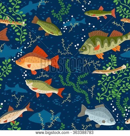 Seamless Freshwater Fish Pattern. A Vector Seafood