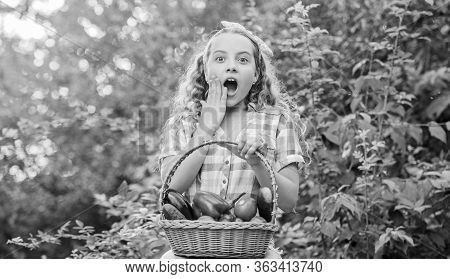 Oh My God. Healthy Food For Children. Surprised Little Farmer. Autumn Harvest. Harvest Vitamin. Spri