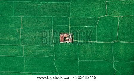 Farm In The Middle Of Green Fields, Aerial View Of Geometry Lines