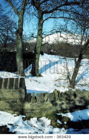 Snowscene