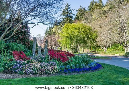 A Flower Garden At Seward Park In Seattle, Washington.