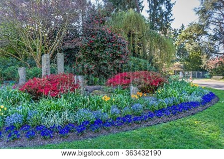 A Flower Garden At Seward Park In Seattle, Washington.