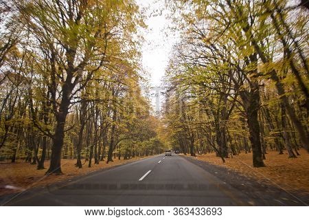 Autumn Landscape With Road And Beautiful Colored Trees . Road In The Autumnal Forest . View Of Road 