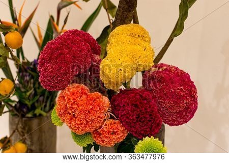 Ikebana Japanese Art Of Flower Arrangement