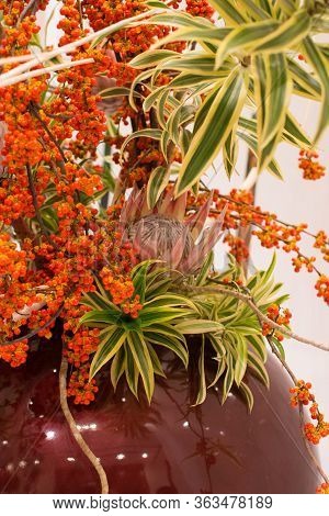 Ikebana Japanese Art Of Flower Arrangement
