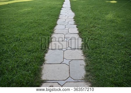 Pathway In The Beautiful Garden Of New York