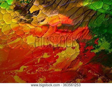 Background Of Bubbles And Circles Oil Paint Effect Simulating Virus Macro View. Horizontal Format