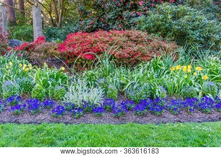 A Flower Garden At Seward Park In Seattle, Washington.