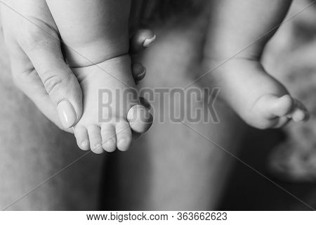 Babys First Steps. The Babys Feet Take The First Steps. Photo Of Childrens Legs Barefoot. Black And 