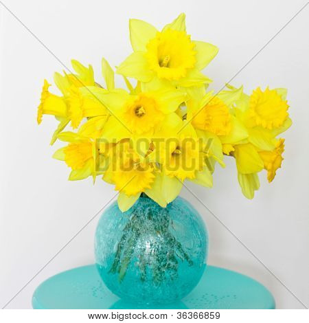 Beautiful Spring Daffodils