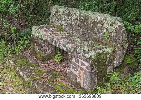 Lichen Covered Bench On The Ottos Walk Trail Near Mahai In The Drakensberg