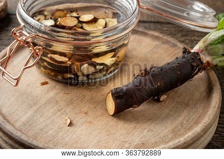Preparation Of Herbal Tincture From Fresh Comfrey Root