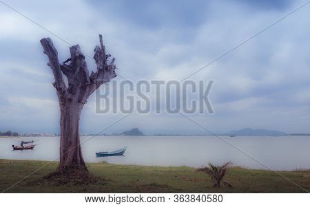 Tall Trimmed Tree Trunk At Beach In Front Of Sea With Fishing Boats In Khao Lommuak Thailand