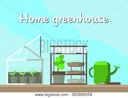 Home Mini Glass Greenhouse For House And Balcon. Flat Vector Illustration. Gardening And Plant. Gard