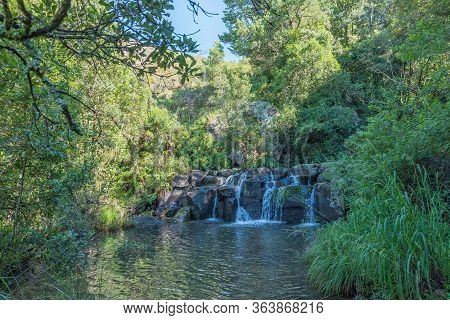 Cascades And A Pool Between Trees At Fairy Glenn Near Mahai