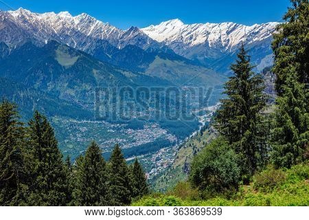 Spring meadow in Kullu valley in Himalaya mountains. Himachal Pradesh, India
