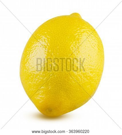 Lemon Whole Isolated On White Background. Beautiful Fresh And Tasty Citrus Fruit Close Up. Shiny Yel