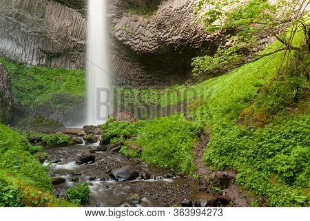 Spring Green Colors Explode At The Bottom Of Latourell Falls
