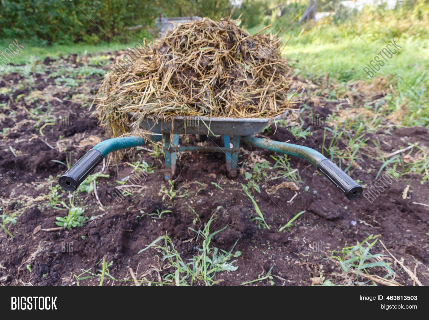 Wheelbarrow 图片和照片（免费试用） | Bigstock
