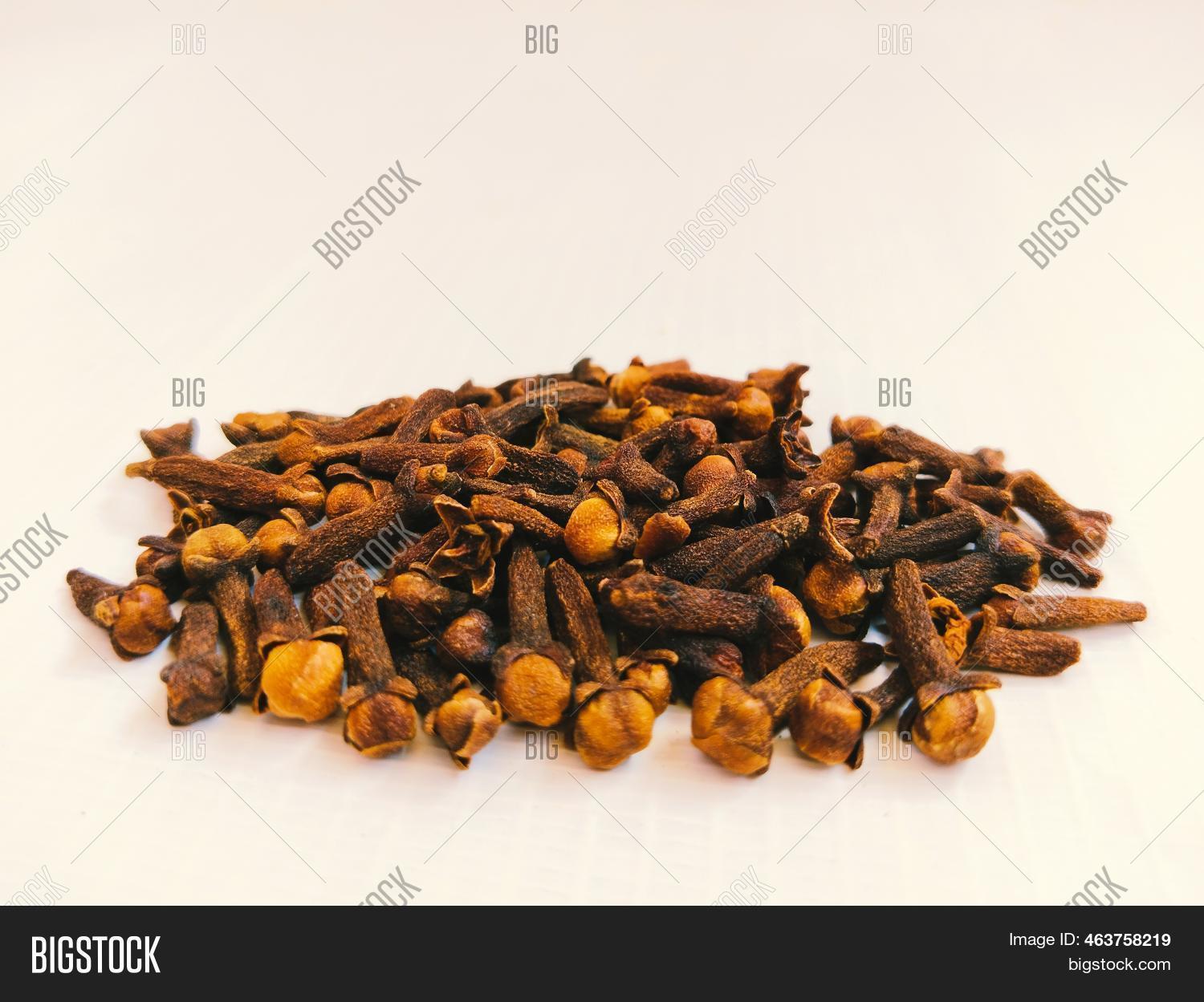 Clove Indiancloves Image & Photo (Free Trial) Bigstock