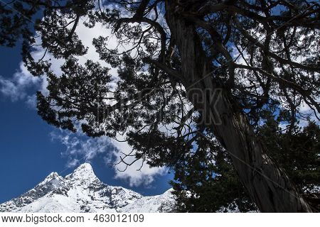 Pangboche, Nepal - Circa October 2013: View Of Ama Dablam From Pangboche Circa October 2013 In Pangb