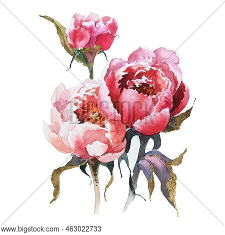 Pink Peonies Bouqet With Golden Potal On White Isolated Background Watercolor Hand Drawing.