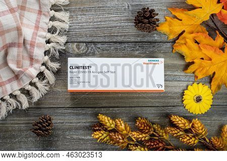 Fall Autumn Covid-19 Flatlay Concept, With An At-home Antigen Covid Test, Sunflowers, Pine Cones And
