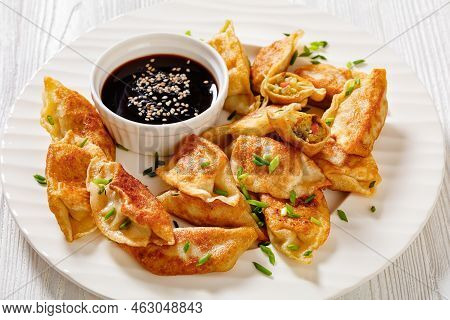 Fried Gyoza, Wonton Wrappers Stuffed With Pork And Cabbage Sprinkled With Green Onions On White Plat