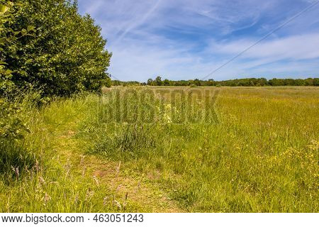 Walking Track In Green Grassland River Valley Of Ruiten Aa Creek In Westerwolde Area, Groningen Prov