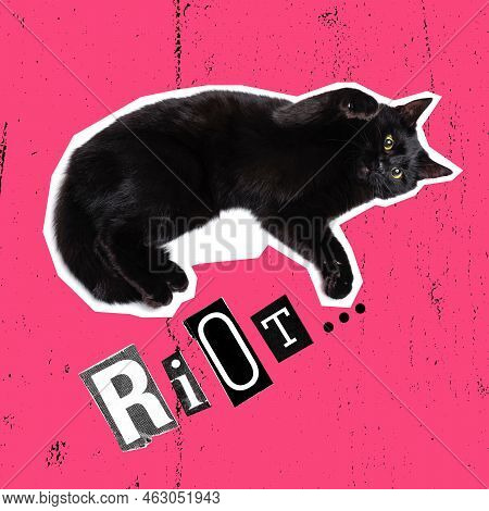 Contemporary Art Collage, Design In Magazine Style With Cat Isolated Over Color Background. Animals 