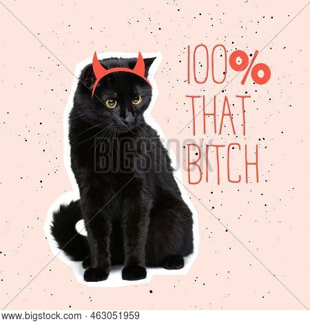 Contemporary Art Collage, Design In Magazine Style With Cat Isolated Over Color Background. Animals 