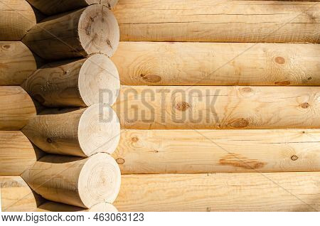 Texture Of Wall Of House Made Of Rounded Logs. Wooden Log Wall Built From Smoothly Polished Logs.