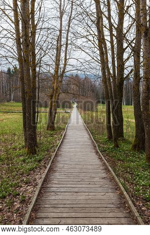 Sumava Protected Landscape Area In The Czech Republic In Europe. Area Chalupska Slat - Forests, Mead