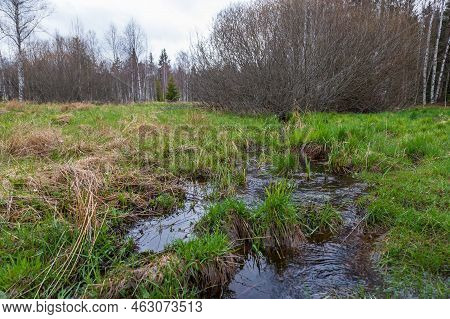 Sumava Protected Landscape Area In The Czech Republic In Europe. Area Chalupska Slat - Forests, Mead