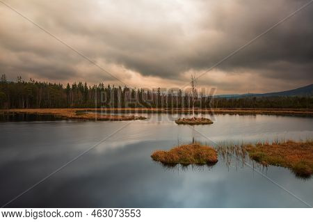 Sumava Protected Landscape Area In The Czech Republic In Europe. Area Chalupska Slat - Forests, Mead