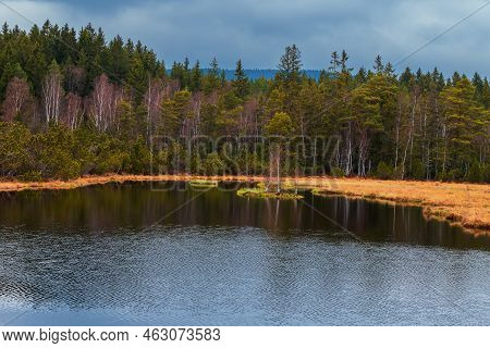 Sumava Protected Landscape Area In The Czech Republic In Europe. Area Chalupska Slat - Forests, Mead
