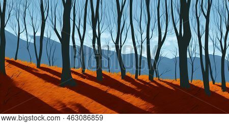 Scenic View Of Winter Beech Trees With No Leaves, Clear Blue Sky And Copy Space In Remote Countrysid