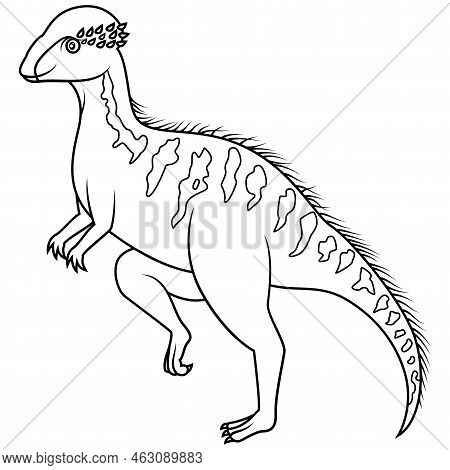 Hand Drawn Of Stegoceras In Line Art