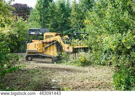 Forestry Mulcher Grinding Up Underbrush And Debris