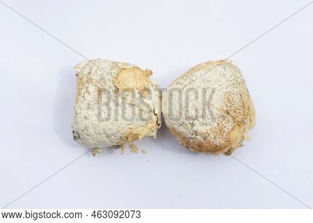 2 Burger Buns Moldy On Blurry White Background Subject.