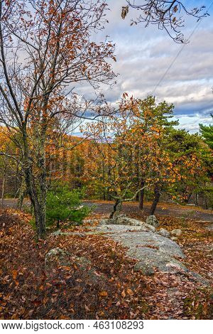 The Changing Autumn Leaves In Lake Minnewaska State Park In New Paltz New York.
