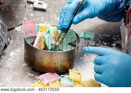 Cassettes With Biopsy Samples In Hot Paraffin. Scientist Embedding Tissues In Paraffin Blocks For Se