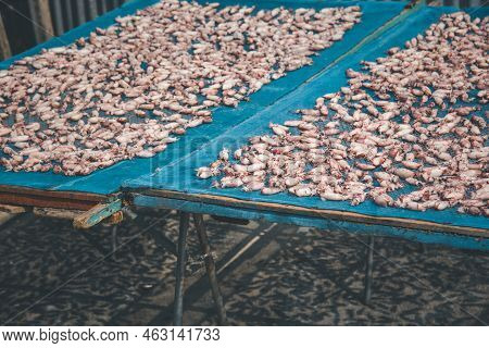 Dried Squid Or Octopus At Thai Seafood Market