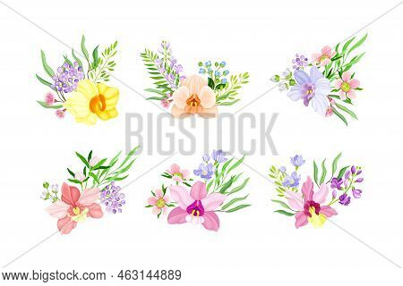 Fragrant Orchid Blooms With Labellum Arranged With Floral Branches Vector Set
