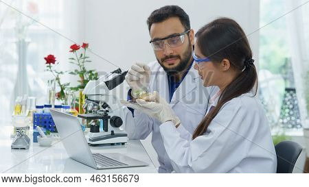 Woman Scientist Or Pharmacist And Man Professor Looking For Ganja Sapling Research Test Chemical Ext