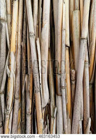 Sedge Stems. The Background Is Made Of Reeds. Dry Reeds Lie In A Row. Background Photo Of Dry Reeds.